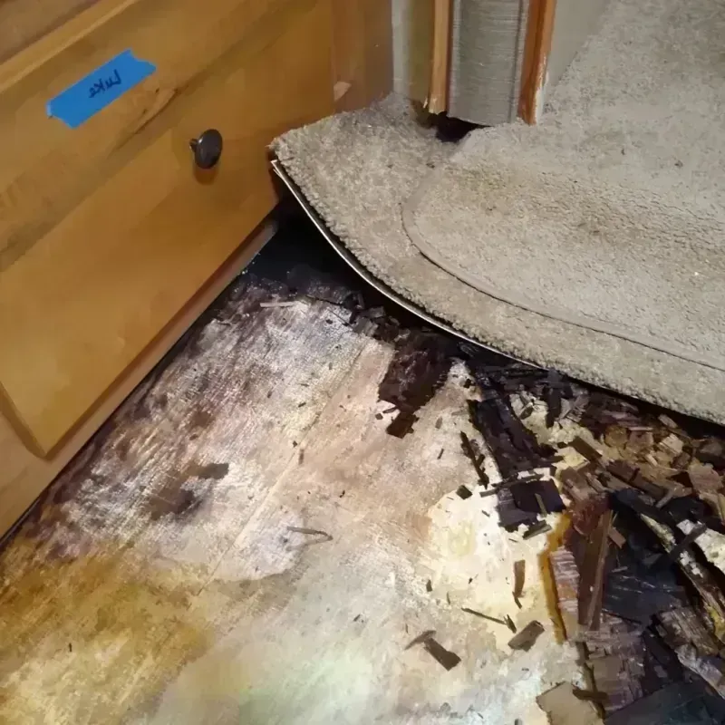 Wood Floor Water Damage in Forrest, IL